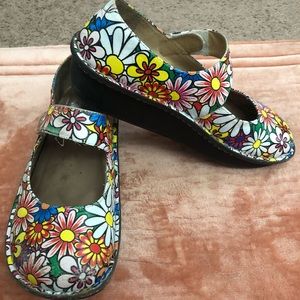 Colorful daisy alegria